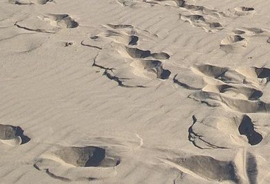 Odoo - Sample 1 for three columns